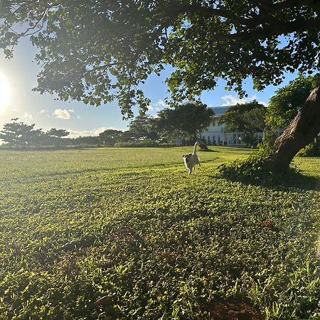 Kenting Comic B&B&Spring ย่านเมืองเก่าเฮ้งชุน ภายนอก รูปภาพ