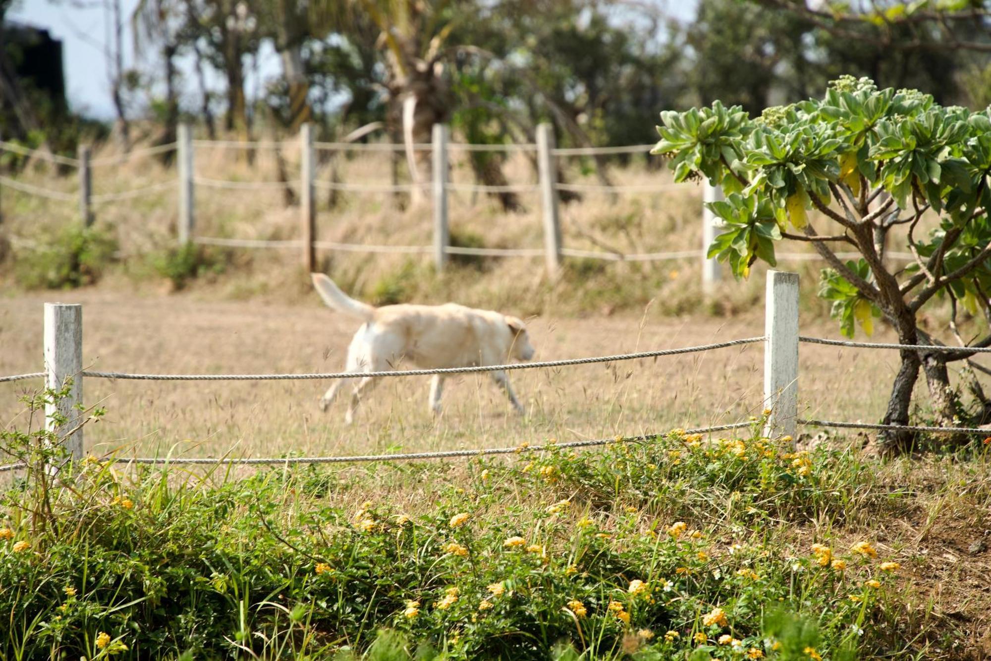 Kenting Comic B&B&Spring ย่านเมืองเก่าเฮ้งชุน ภายนอก รูปภาพ