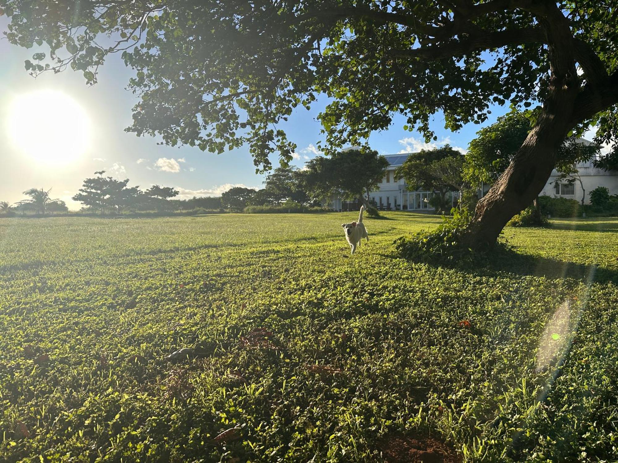 Kenting Comic B&B&Spring ย่านเมืองเก่าเฮ้งชุน ภายนอก รูปภาพ